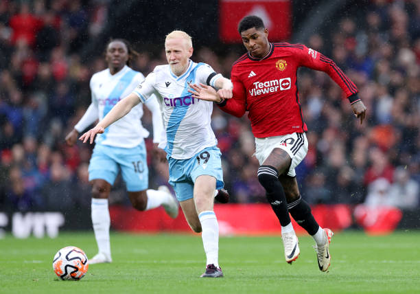 仅展示了皇 仅展示了皇