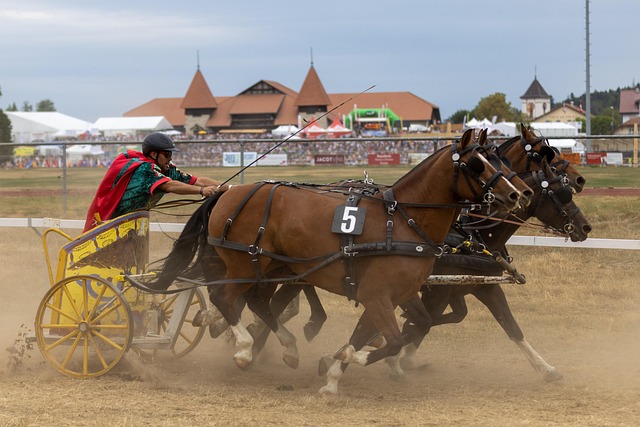 过前瞻性眼 过前瞻性眼