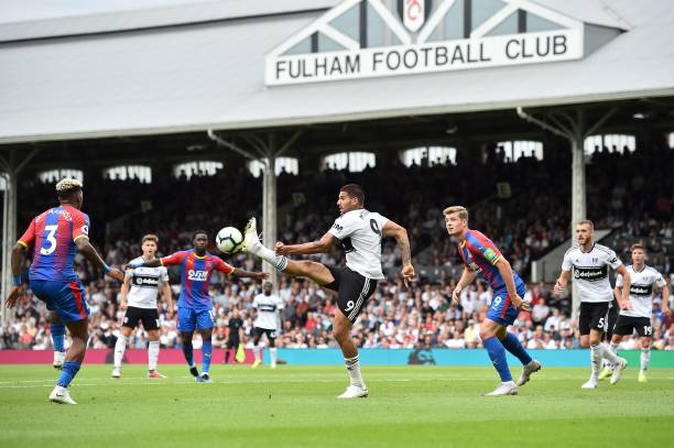 在采访中直 在采访中直